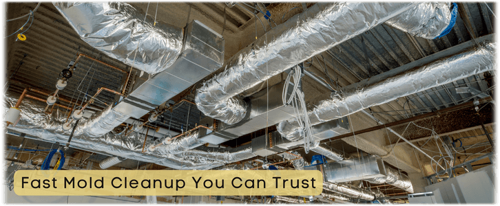 Air Duct Mold Removal in Marengo IL